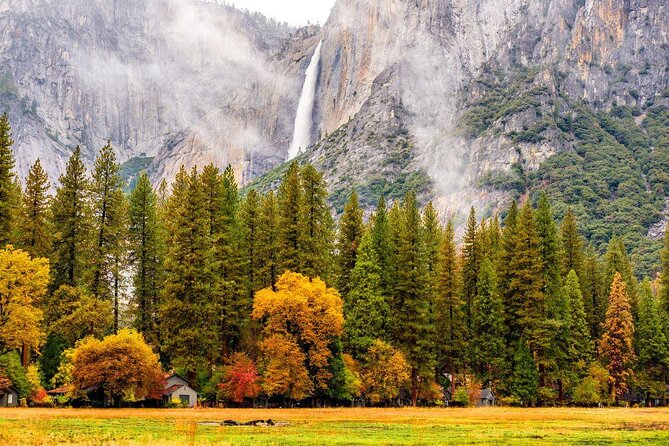 Yosemite National Park: Full Day Tour from San Francisco - Key things I’d zero in on