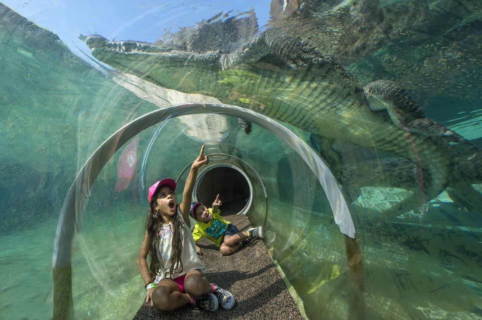Zoo Miami: General Admission Ticket - Playworld Playground: Kids Need a Break