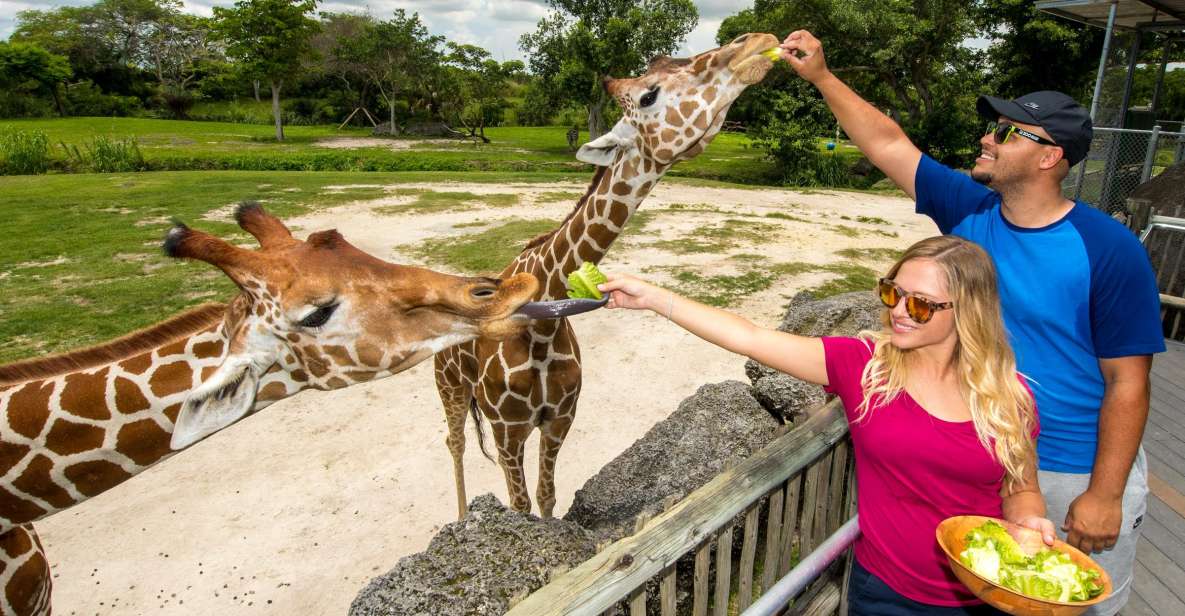 Zoo Miami: General Admission Ticket - First Steps at Zoo Miami: A Day That Starts Moving Fast