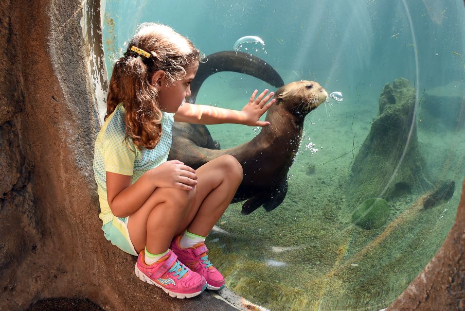 Zoo Miami: General Admission Ticket - Amazon and Beyond: Rainforest Energy and a Massive Aquarium