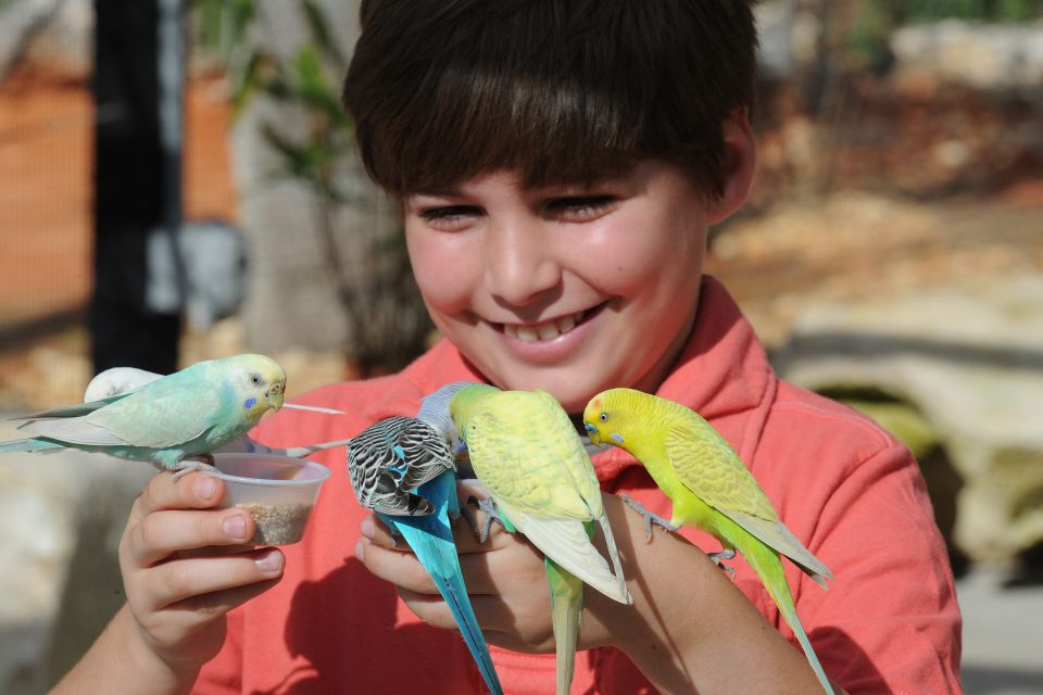 Zoo Miami: General Admission Ticket - Wings of Asia Aviary: Free-Flying Birds Worth Chasing
